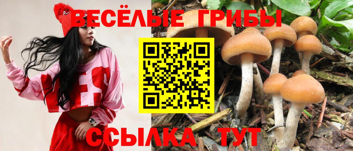 Псилоцибиновые грибы Magic Shrooms Рязань