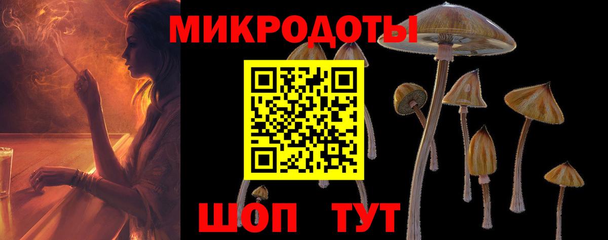 Рязань  Галлюциногенные грибы Cubensis  где найти   Вход с VPN  Псилоцибиновые грибы Magic Shrooms 